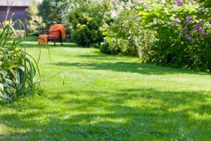 travaux jardin et paysage Avilley